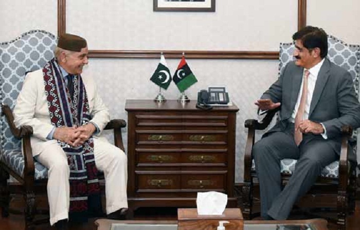 وفاق سندھ حکومت کے ساتھ شانہ بشانہ کھڑا ہوگا, شہباز شریف